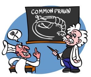 french-verb-to-understand-is-comprendre