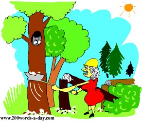 french-verb-to-deforest-is-deforester