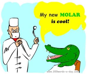 spanish-verb-molar-be cool